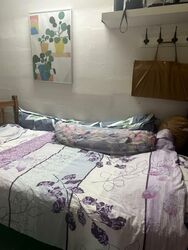 Blk 3 Joo Seng Green (Toa Payoh), HDB 3 Rooms #537035861